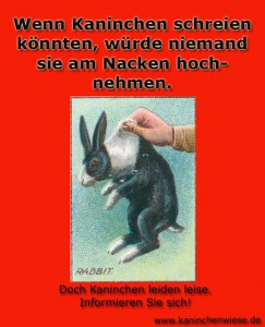 kaninchen-nackengriff