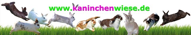 Banner von kaninchenwiese.de