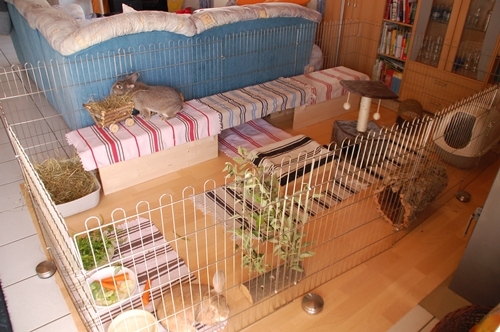 Wohnungshaltung