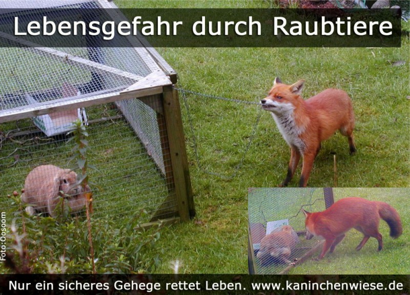 Gartengehege bauen
