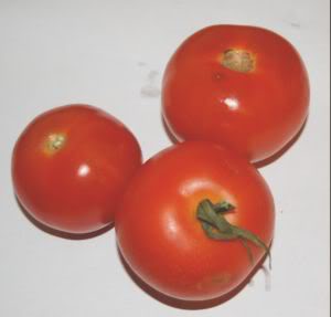 tomate_1