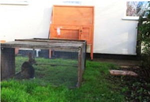 Gitter für kaninchenstall - Unser Favorit 