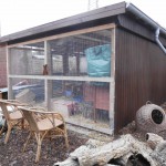 2014-11-04 001 011 (1024x768)