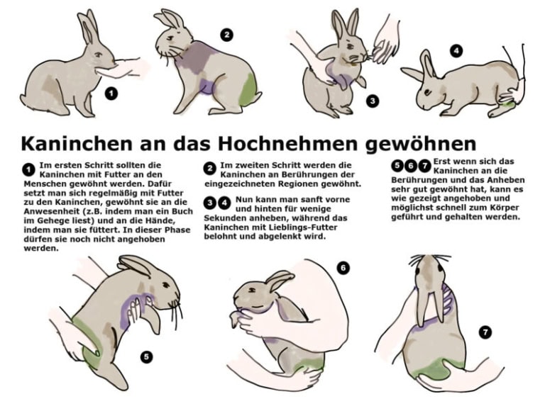 Wie Setzt Man Eine Perücke Richtig Auf
