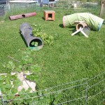 abenteuerspielplatz auslauf kaninchen