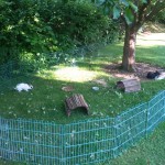 auslaufgehege kaninchen