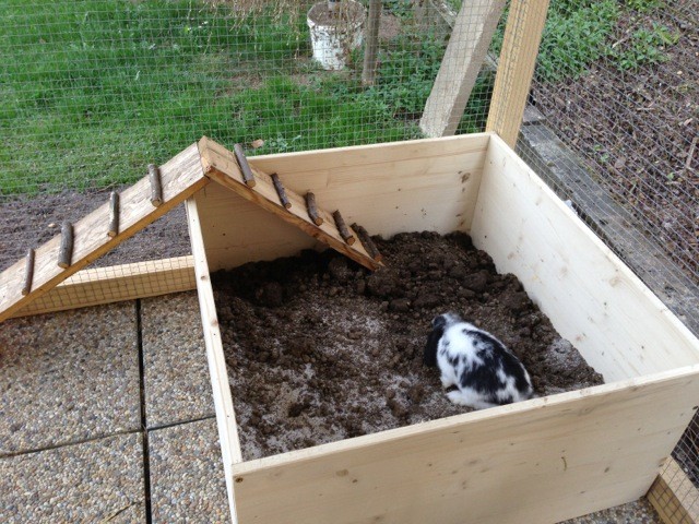 Digging box for rabbits