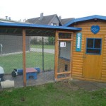 gartenhaus-kaninchen