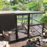 gehege mit treppen
