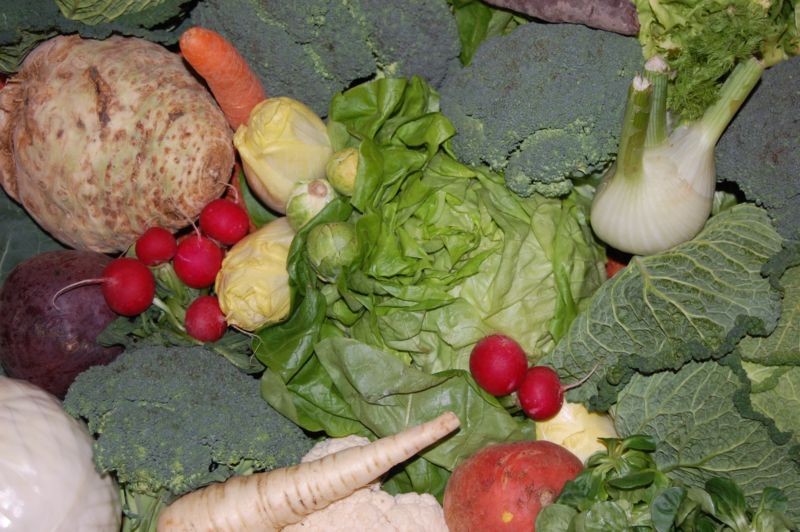 Häufige Fütterungsfehler Seite 6