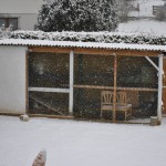 kaninchen winter außenhaltung