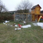 kinderspielhaus