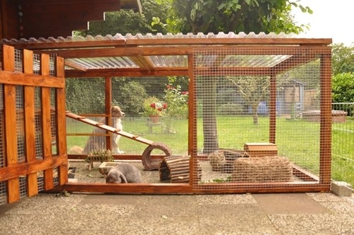Kaninchen Voliere Selber Bauen