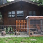 voliere vor gartenhaus