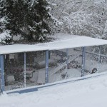 wintergehege